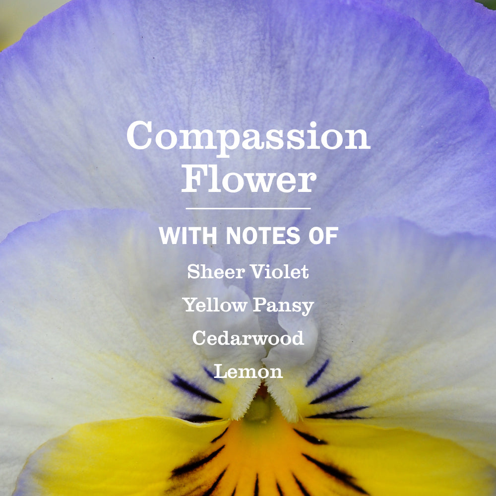 Mrs. Meyer's Compassion Flower 2-Pack Plug-In Scented Oil Refills