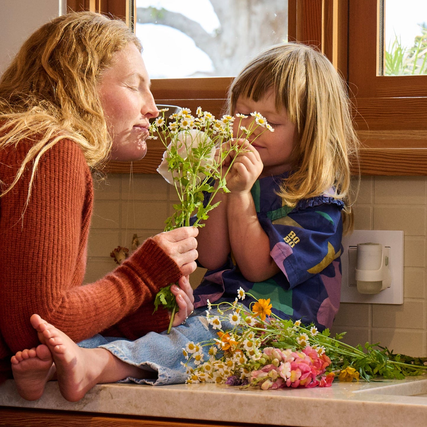 Mrs. Meyer's Compassion Flower 2-Pack Plug-In Scented Oil Refills