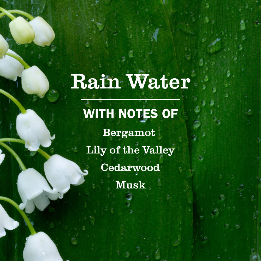 Mrs. Meyer's Rain Water 2-Pack Plug-In Scented Oil Refills