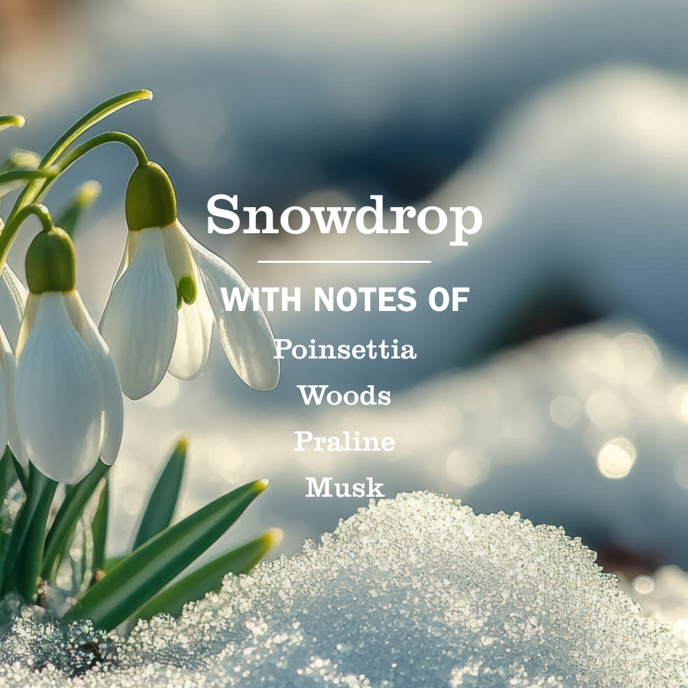 Mrs. Meyer's Snowdrop Plug-In Oil Warmer with Scented Refill