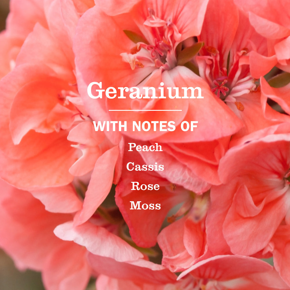 Mrs. Meyer's Geranium Essential Kitchen Cleaning Set