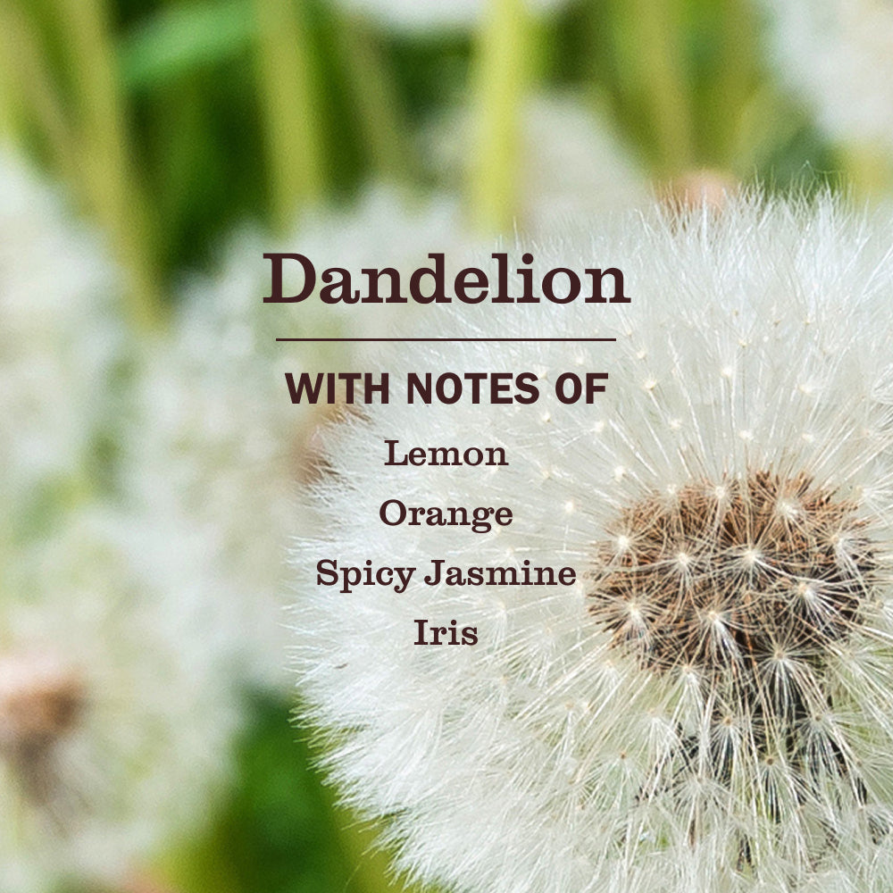 Mrs. Meyer's Dandelion Everyday Multi-Surface Cleaning Spray