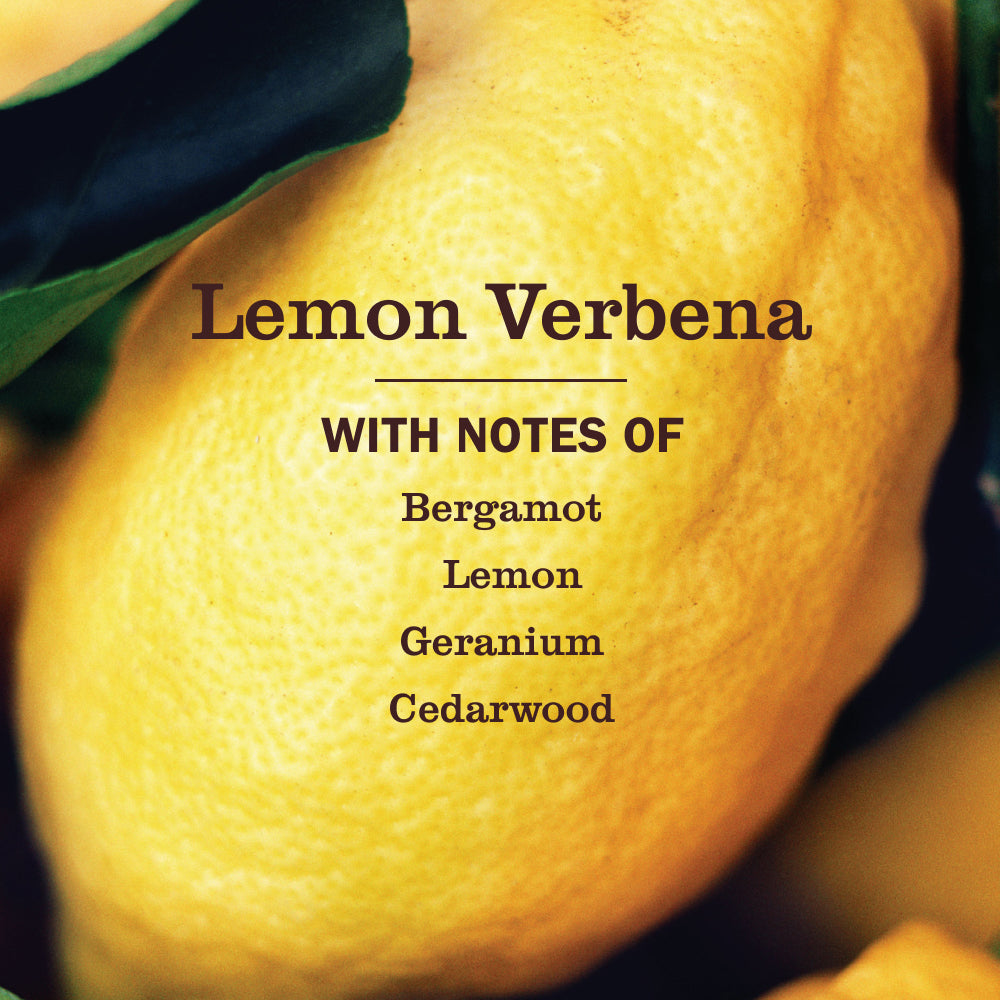 Mrs. Meyer's Lemon Verbena Refill for Liquid Dish Soap