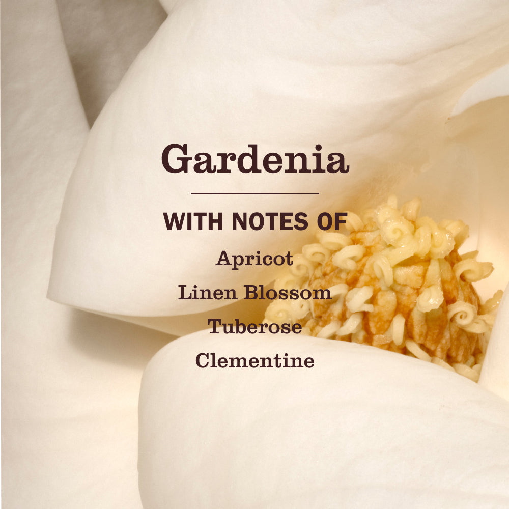 Mrs. Meyer's Gardenia Garden-Scented Liquid Hand Soap
