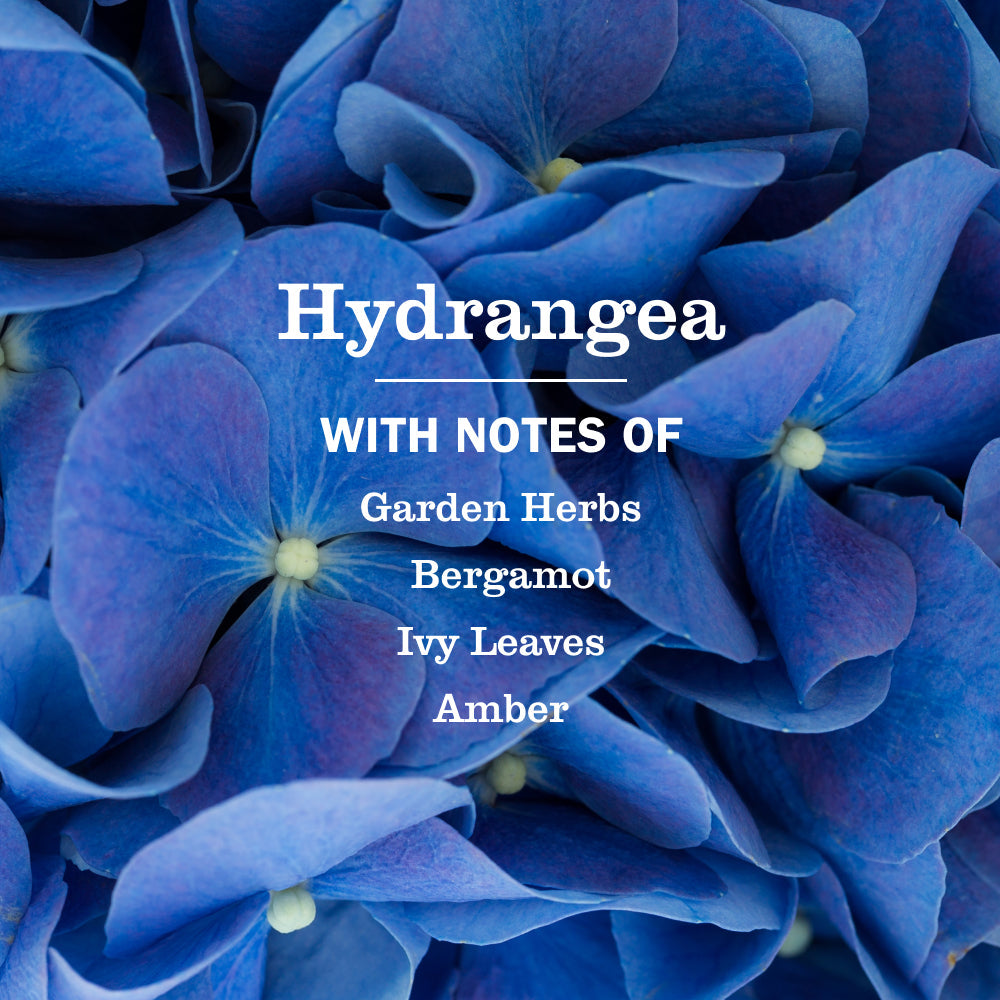 Mrs. Meyer's Hydrangea Garden-Scented Liquid Hand Soap