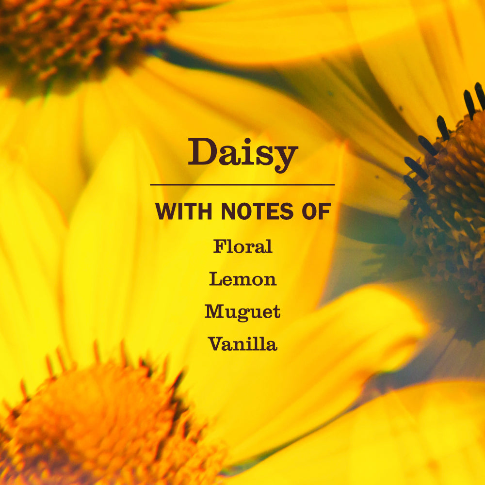 Mrs. Meyer's Daisy 3-Count Liquid Hand Soap Bundle