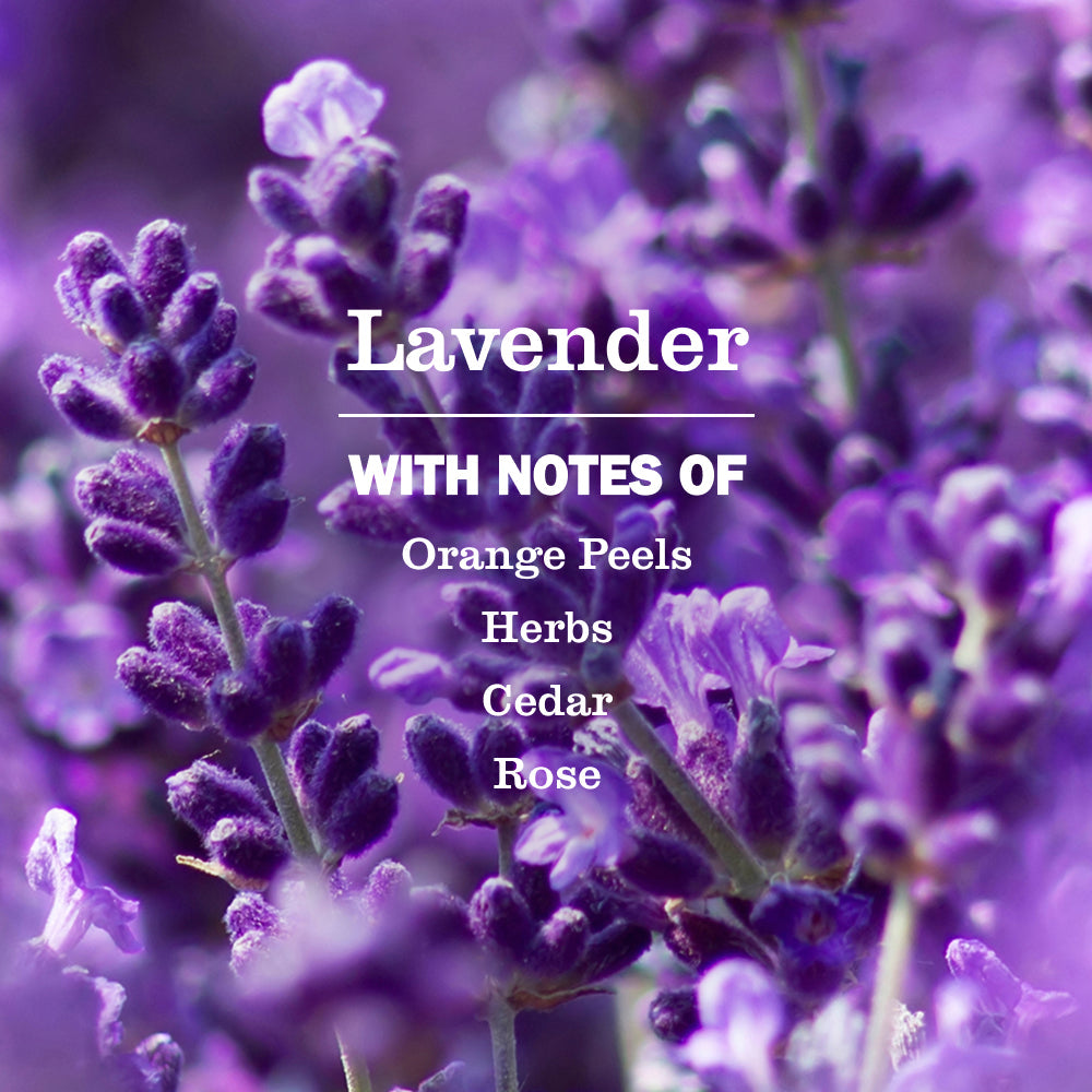 Mrs. Meyer's Lavender Non-Aerosol Room Freshener Spray