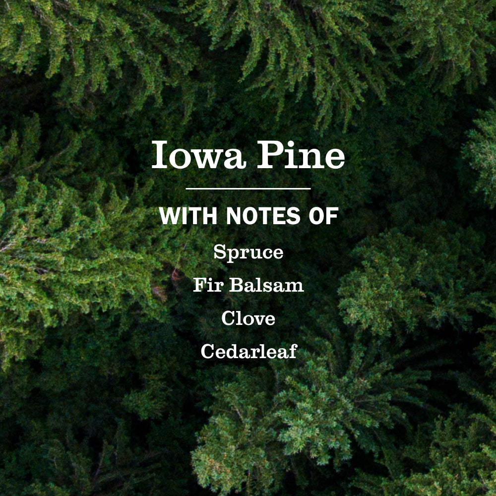 Mrs. Meyer's Iowa Pine Essential Kitchen Cleaning Set