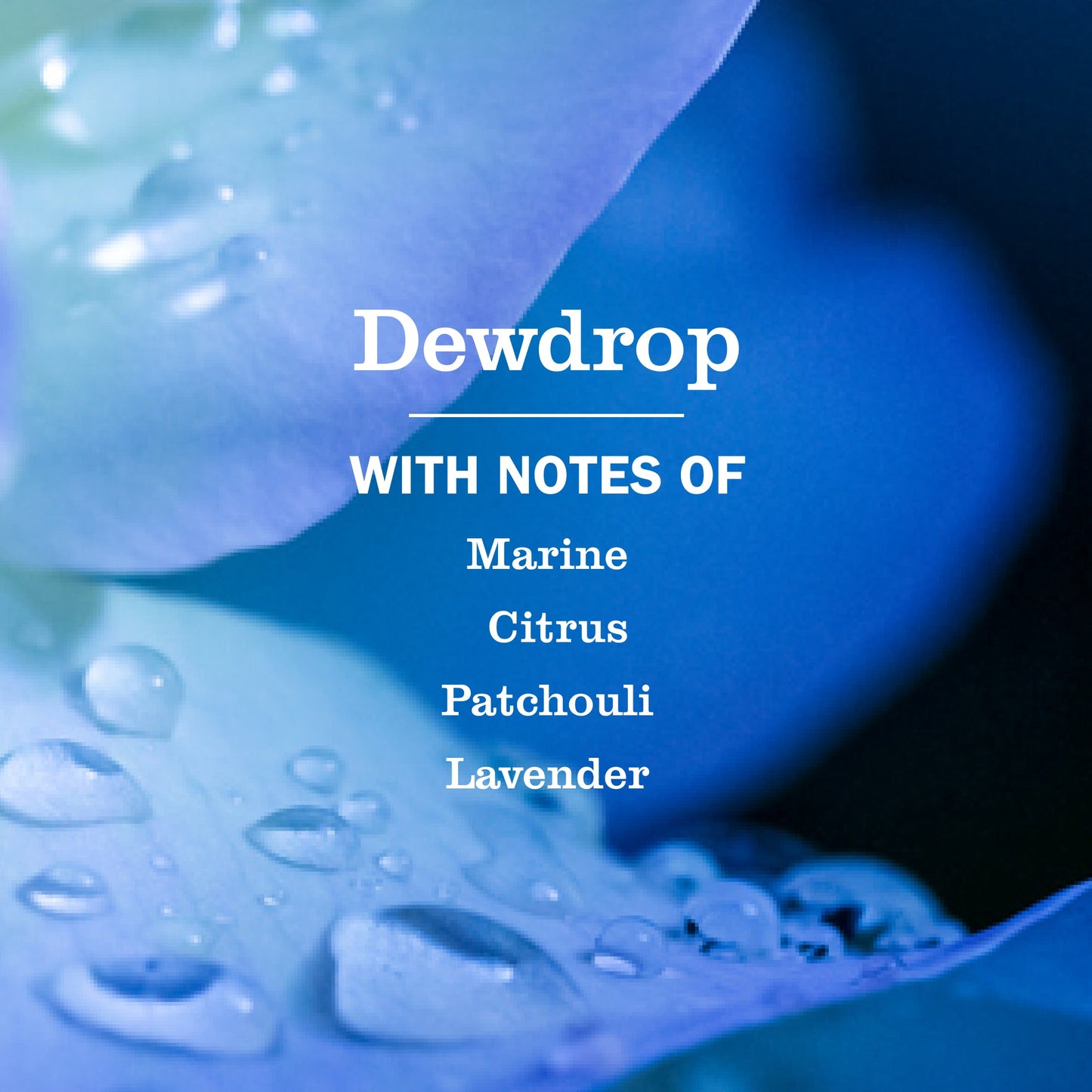 Mrs. Meyer's Dewdrop Liquid Dish Soap