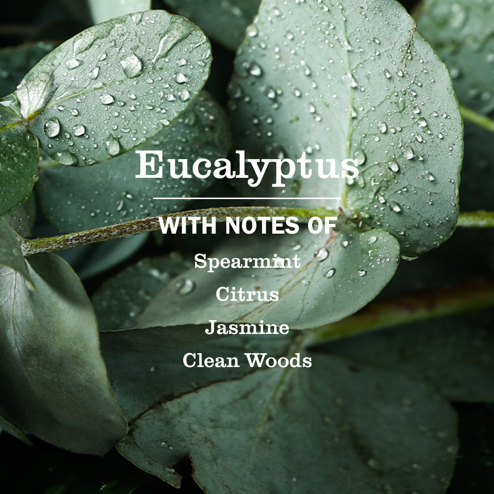 Mrs. Meyer's Eucalyptus Everyday Multi-Surface Cleaning Spray