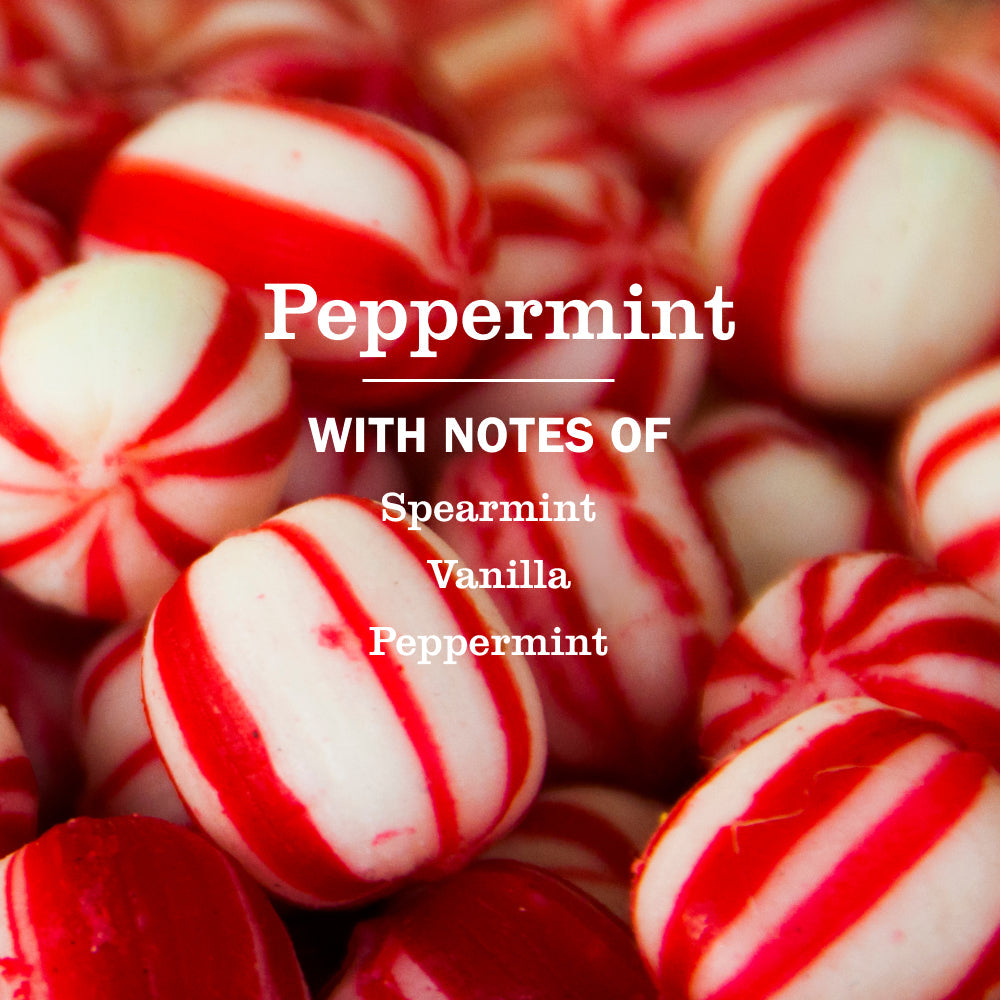Mrs. Meyer's Peppermint Liquid Dish Soap