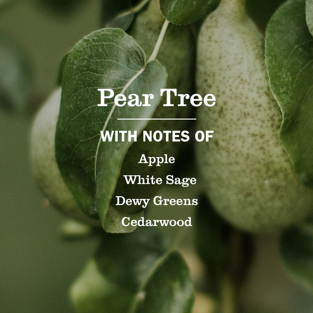 Mrs. Meyer's Pear Tree Everyday Multi-Surface Cleaning Spray
