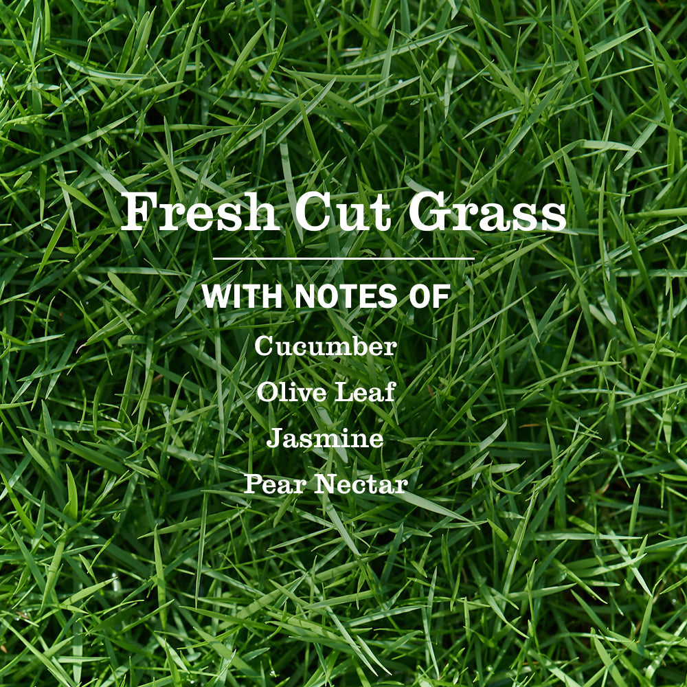 Mrs. Meyer's Fresh Cut Grass 3-Count Liquid Dish Soap Bundle