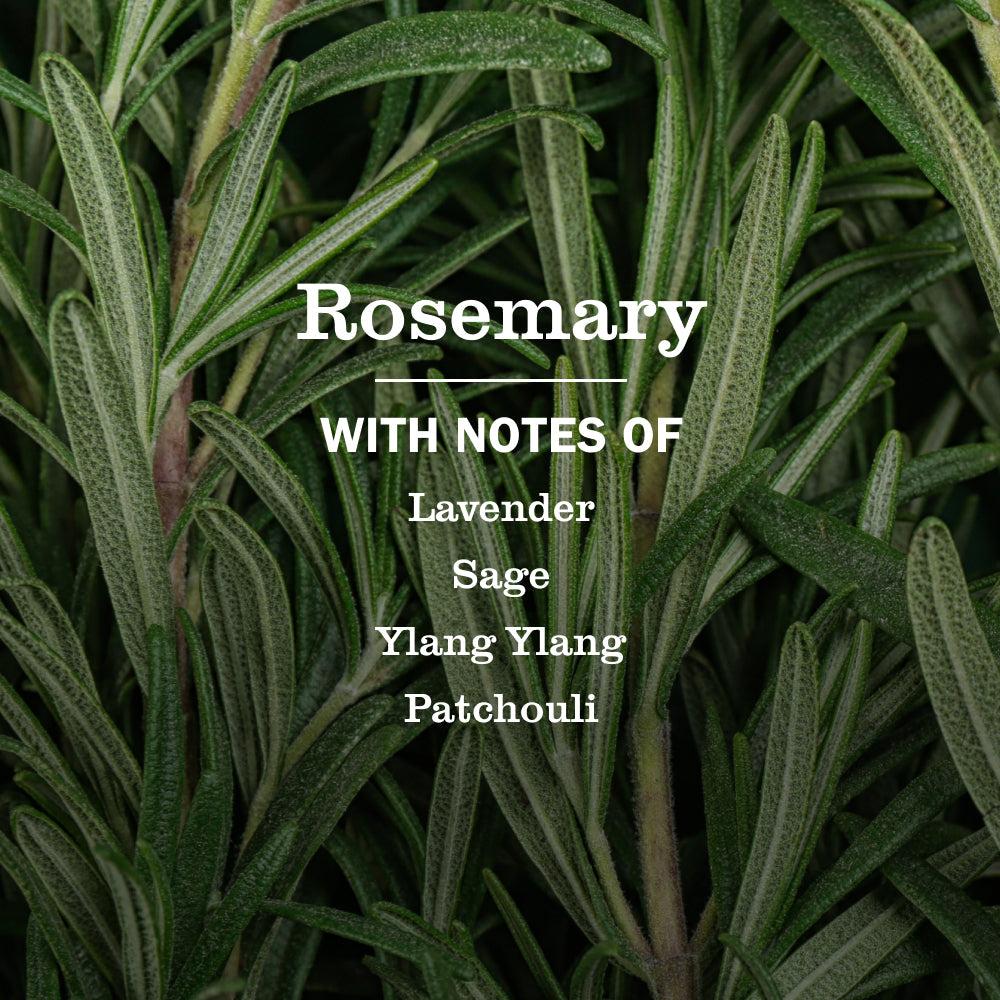 Mrs. Meyer's Rosemary Everyday Multi-Surface Cleaning Spray